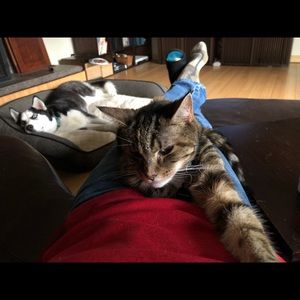 Meet your Posher, Vic